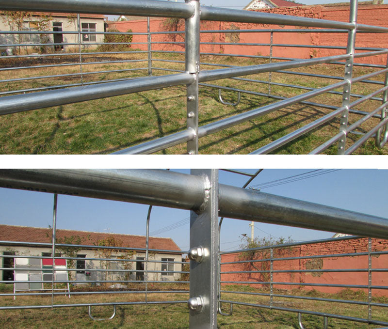 Husdyrtelt 6x6 meter - Easy Gruppen